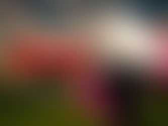 מזל טלה - אסטרולוגיה גברית