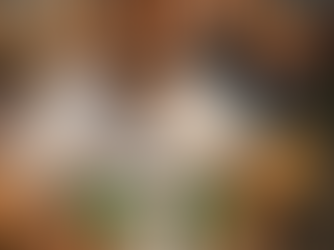 פרומפט דולנד טראמפ: אולטרה-ריאליסטית והומוריסטית