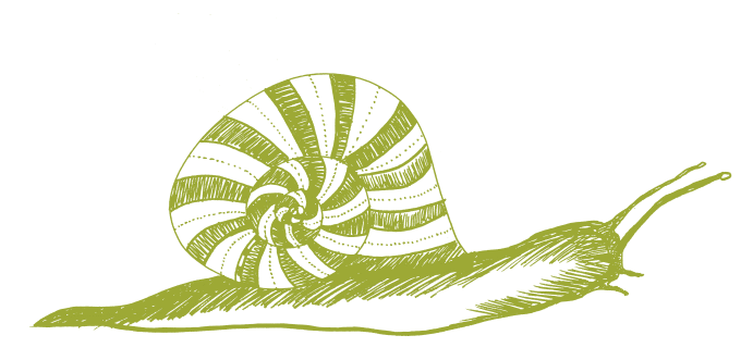 schnecke_1_grün1+transparent_klein.gif