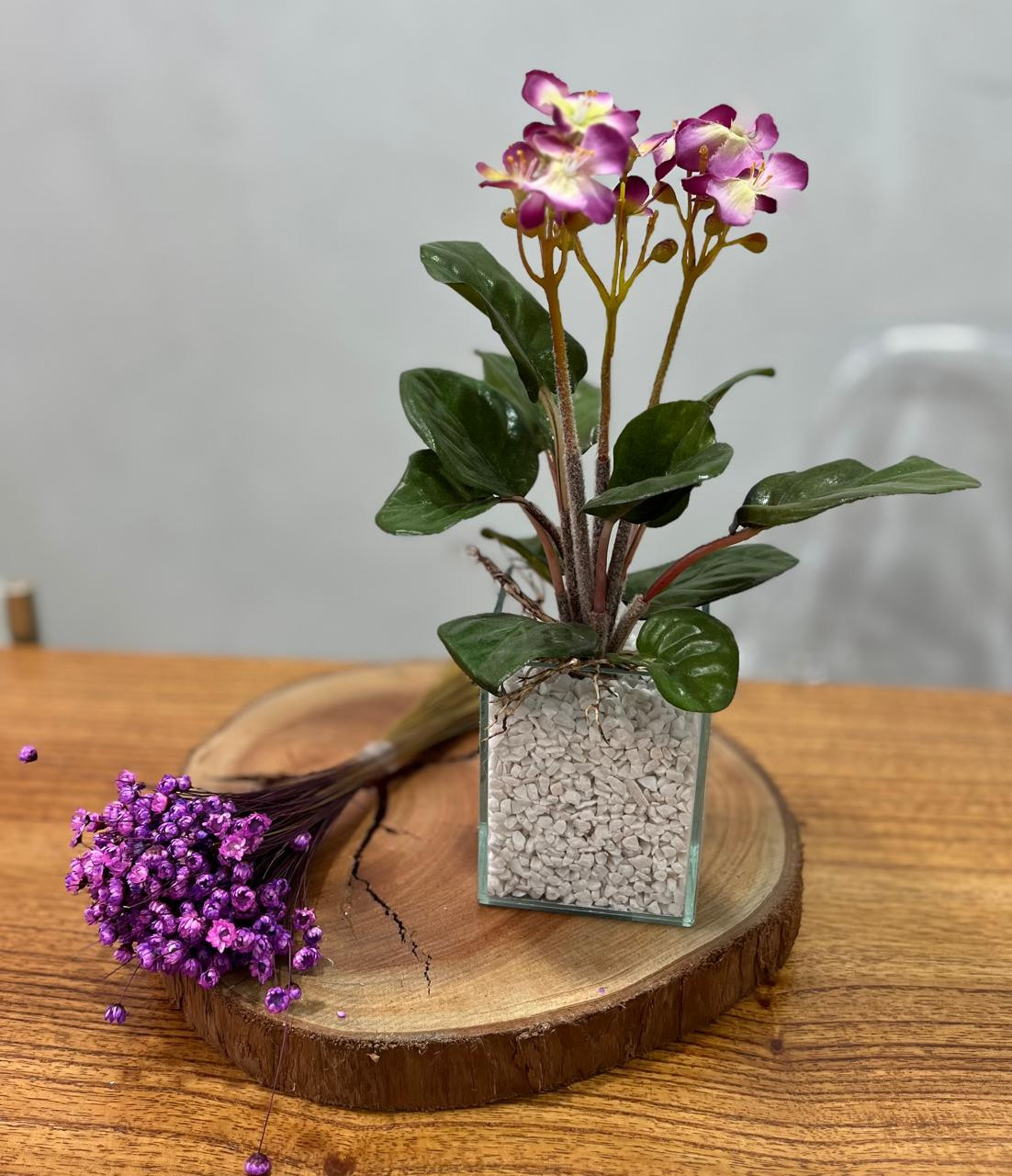Mini Violeta Roxa