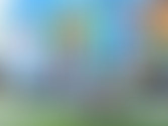 Phillips {Houston children's photography}