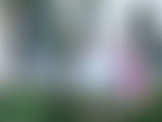 backyard cuties {houston family photography}