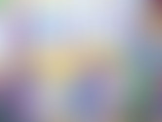 harder {houston family photographer}