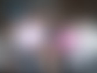 french {houston family photography}