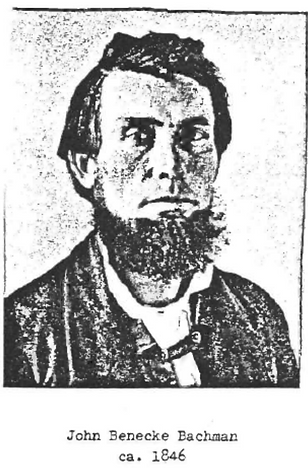 Bachman+John+Benecke.png
