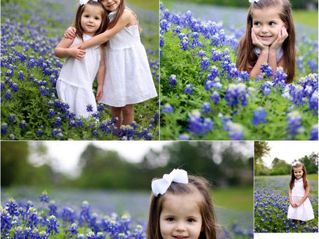 bluebonnet girlies