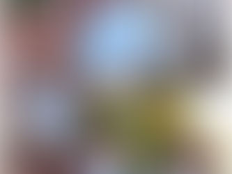 shopping/styling 101