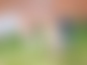 villerie {houston children's photographer}