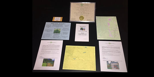 Global Tree Package 2.jpg