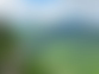 רכס הרים מיוערים ועצים