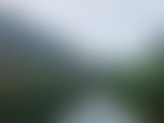 אגם מוקף בעצים