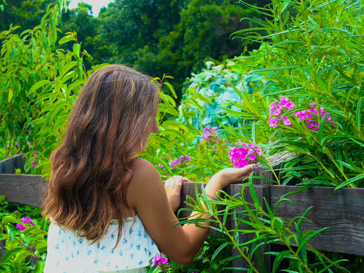 A girl leaning on a fence, holding a pink flower in her hand.
