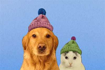 LENNY & PIP
