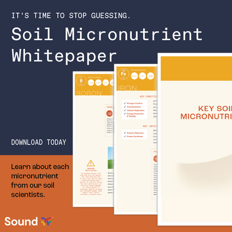 A social tile developed for the Micronutrient White Paper.