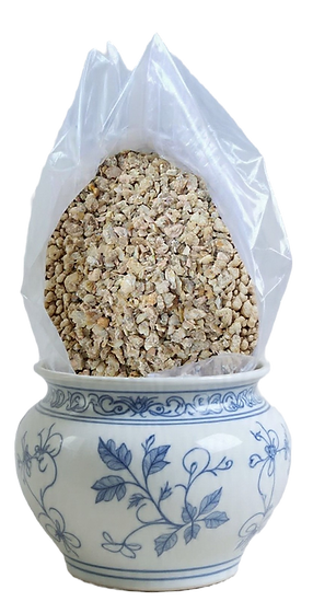 digitpunkt hing image_edited_edited.png