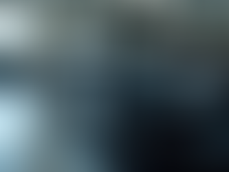 Paint Protection Film