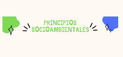 Logo Principios 2.jpg