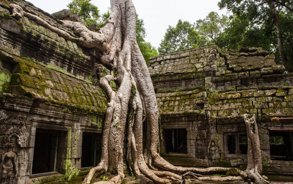 Angkor Wat Cambodia
