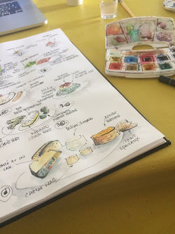 aquarelle et dessin, projection visuelle pour moments gastronomiques
