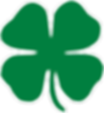 4 leaf clover.png