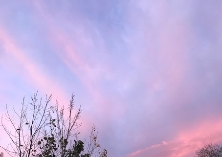 Poem - Sterile Hearts