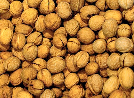 The Nutty Professor (or is it Imposter?)