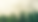 forest.png