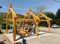 IMG-3263