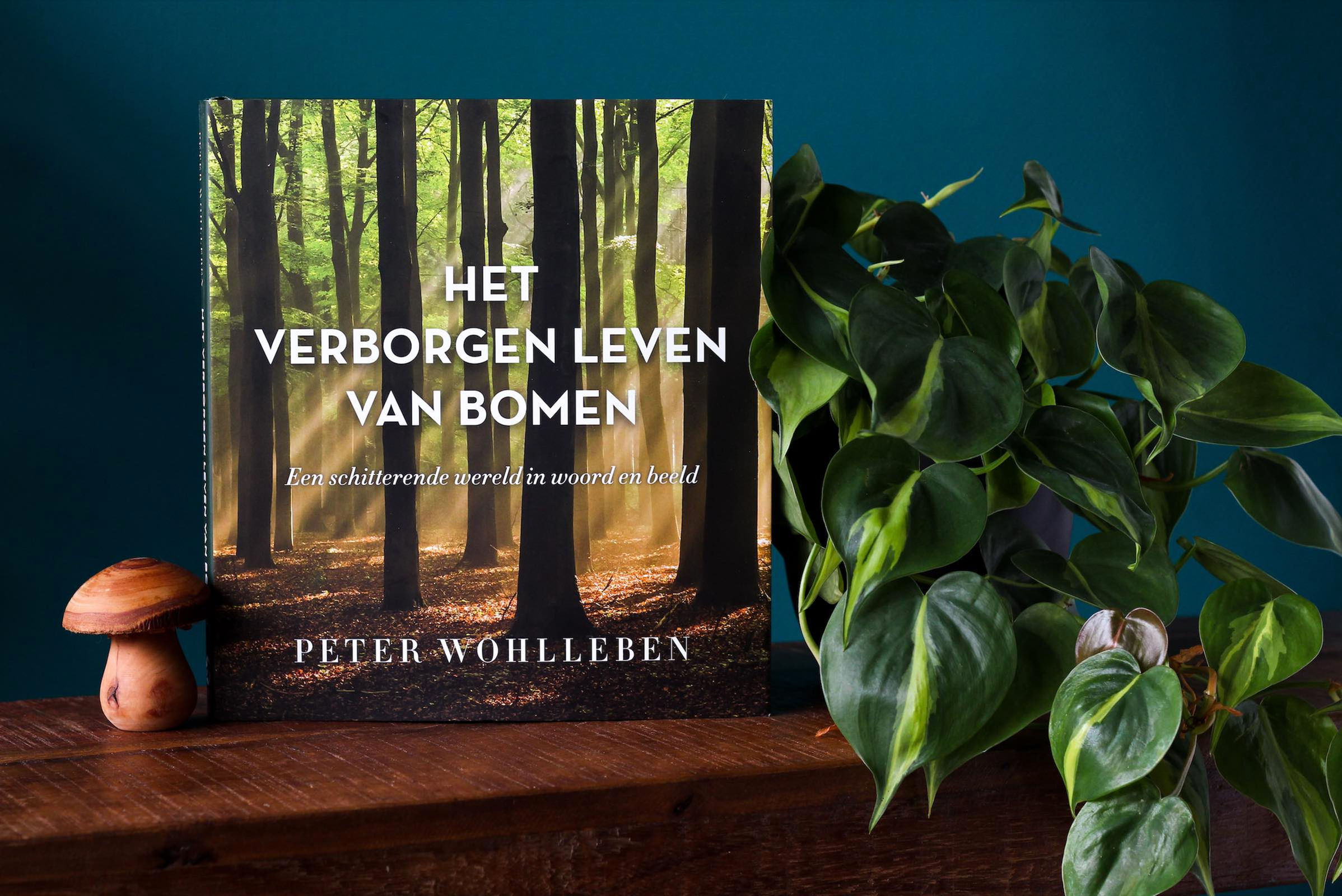 Peter Wohlleben - Het verborgen leven van bomen (geïllustreerde editie)