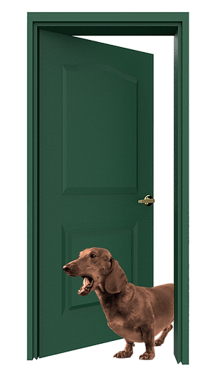 an open green door with a sausage dog barking in the doorway
