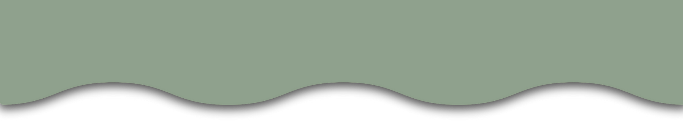 Morgan Wilson Events - Brand Kit 2025_ed