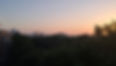 20260524_203711.jpg