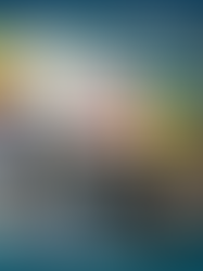 January 28, 2026 Meeting Minutes