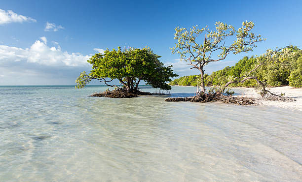 Photo includes: beach and ocean at Anne's Beach, Florida