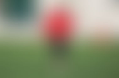 La personalità dell’allenatore.
Formazione e componenti psicologiche.