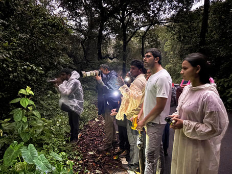 Family-Friendly Nature Experiences: Explore with Wildfootprints