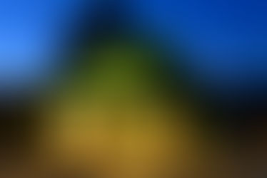 WEBサイトオープンしました