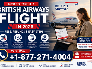 How to Claim Porter Lost Baggage Compensation in 2026: Easy Guide