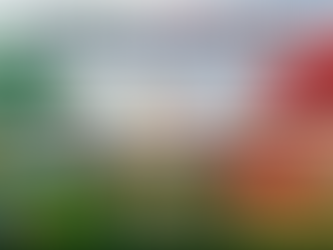 Iraqi Airways vs. Turkish Airlines: Which Has Better Cancellation Rules?