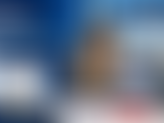 JetBlue Name Correction Online