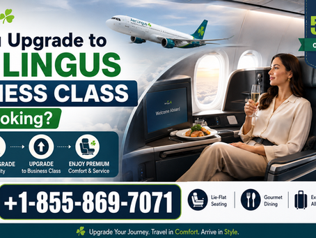 Can You Upgrade to Aer Lingus Business Class After Booking?