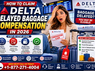 How to Claim Delta Delayed Baggage Compensation in 2026