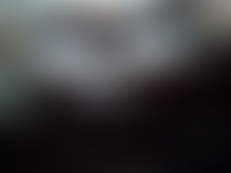 BLECAUTE LEGISLATIVO