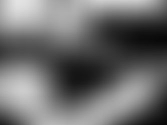 POLÍTICA EM TRÂNSITO