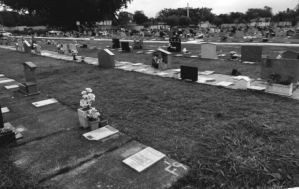 Condomínio póstumo: loteamento com direito a privacidade, companhia e gramado suspenso