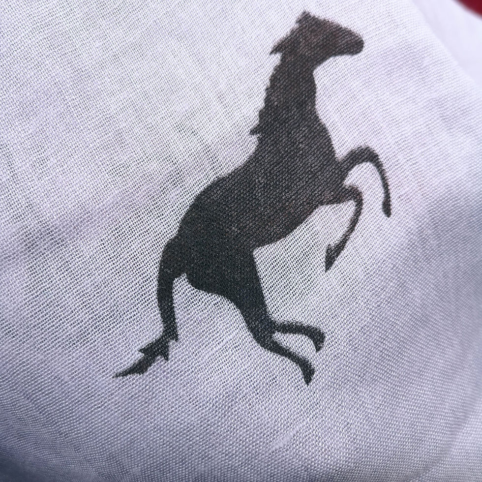 Thumbnail: Wild Horses Scarf