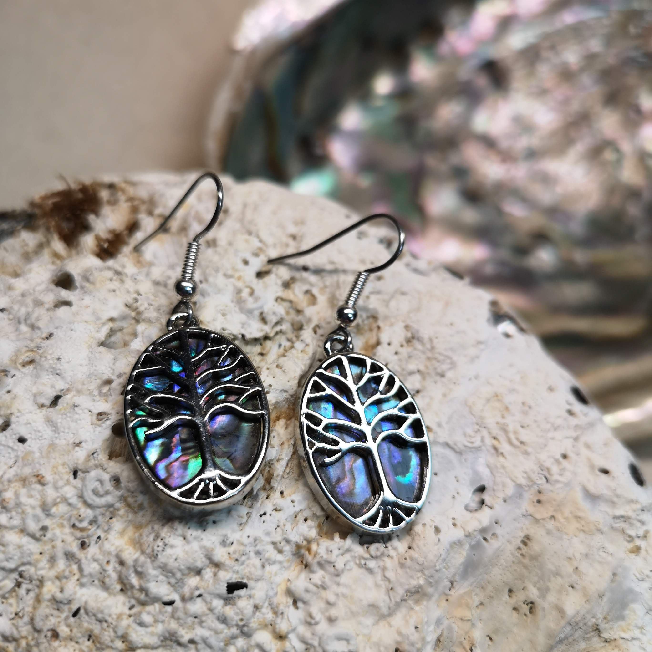 Paua Shell Oval Tree Earrings