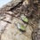 Thumbnail: Prehnite Earrings