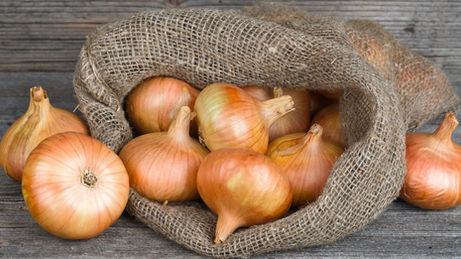 Why The Onion’s defence of satire should be heard by the Supreme Court