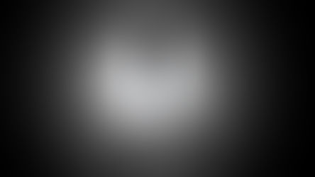 The story behind Brancher: the virtual mentoring platform